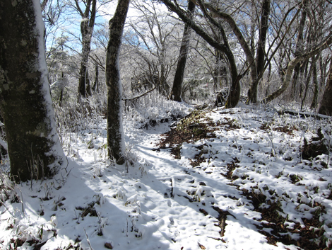 20191129hike (110)